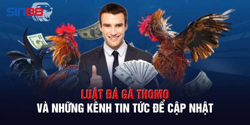 Luật đá gà Thomo và những kênh tin tức để cập nhật