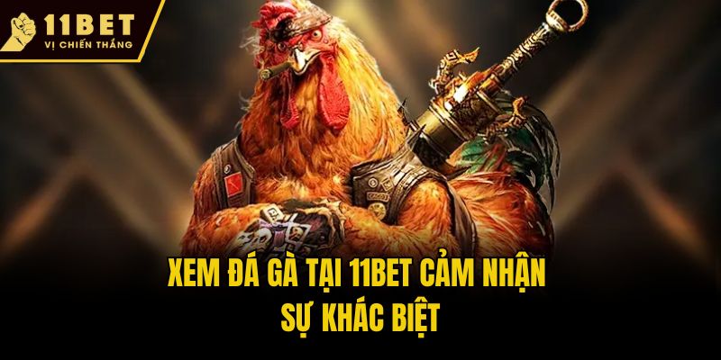 Trang chủ 18 Xem đá gà tại 11bet cảm nhận sự khác biệt